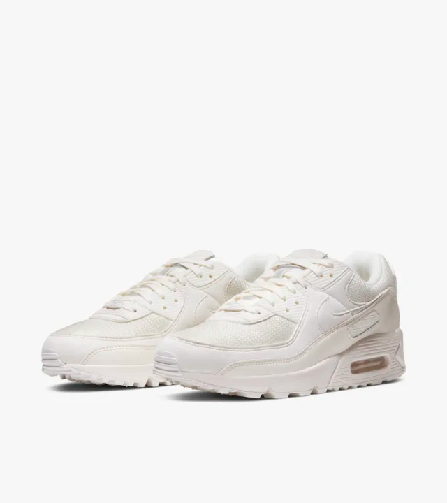 El Escarabajo pelotero